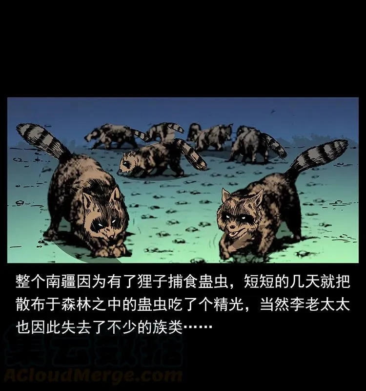 161 虫佛 第17页