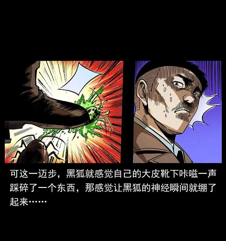 161 虫佛 第43页