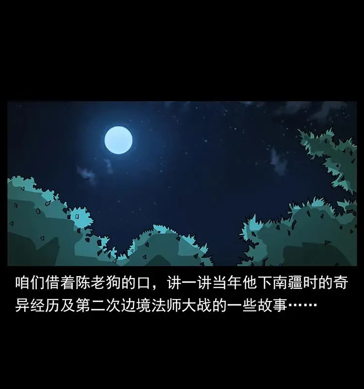 163 陈老狗下南疆 第2页