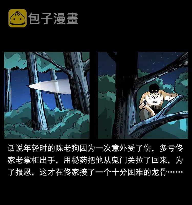 163 陈老狗下南疆 第3页