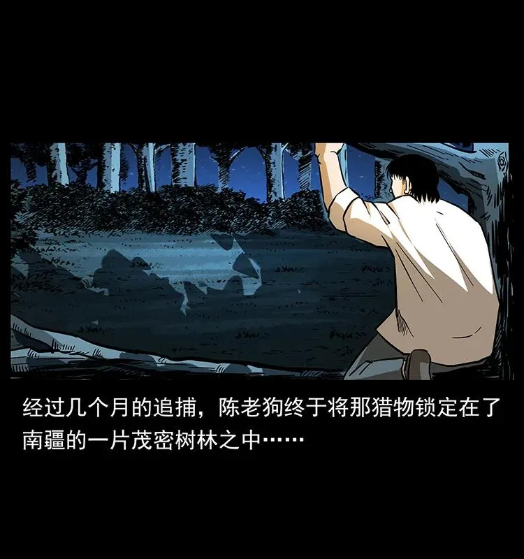 163 陈老狗下南疆 第4页