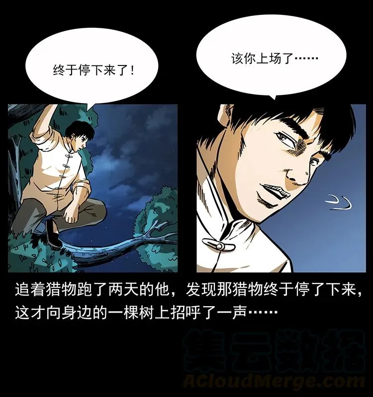 163 陈老狗下南疆 第5页