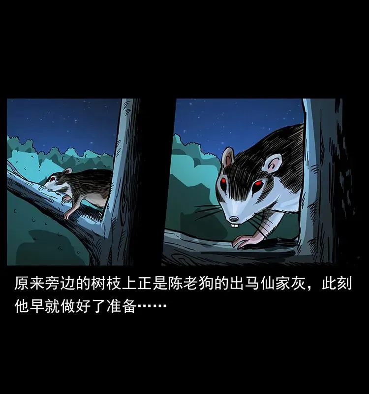 163 陈老狗下南疆 第6页