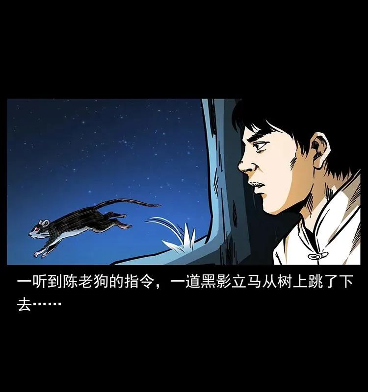 163 陈老狗下南疆 第7页