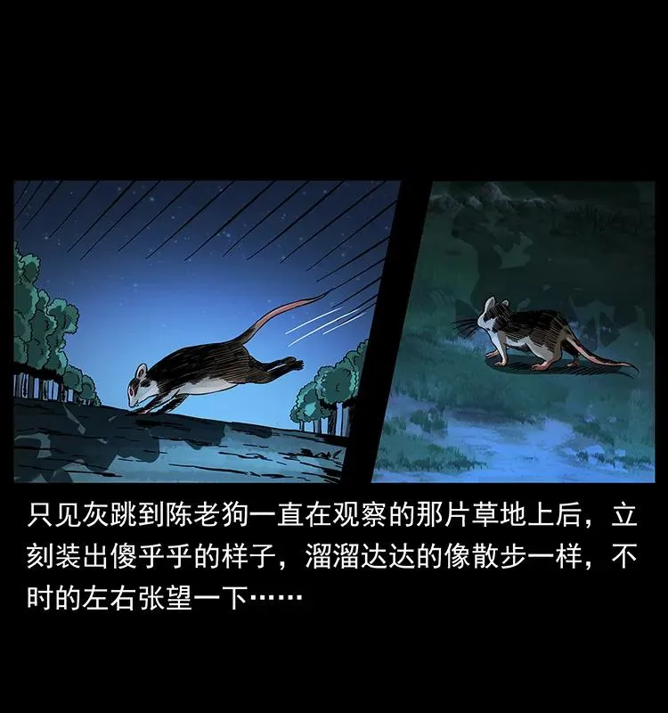 163 陈老狗下南疆 第8页