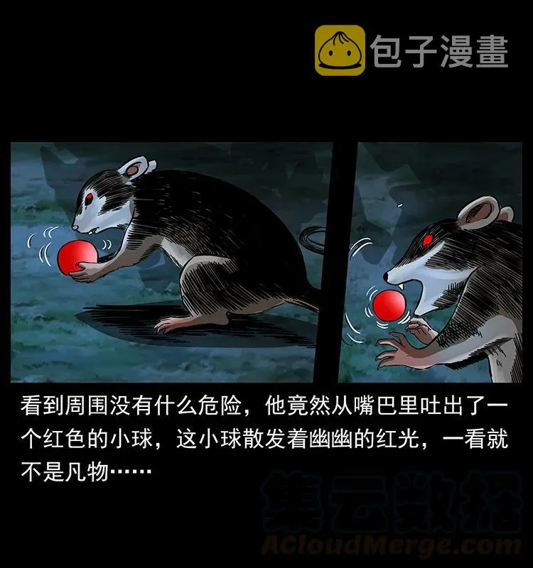 163 陈老狗下南疆 第9页