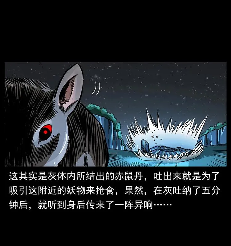 163 陈老狗下南疆 第10页