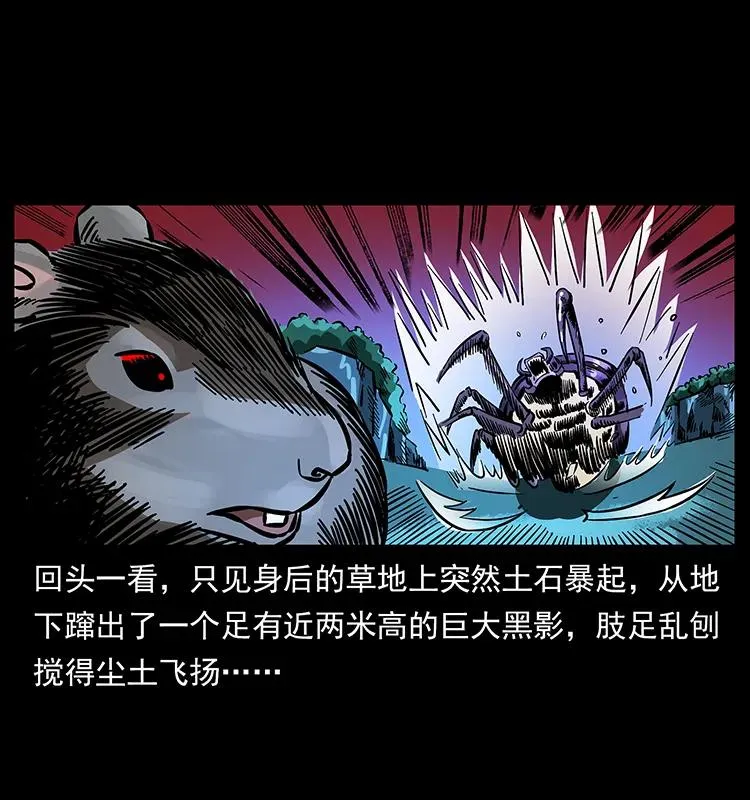 163 陈老狗下南疆 第11页