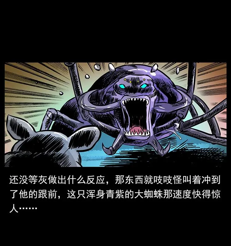163 陈老狗下南疆 第12页