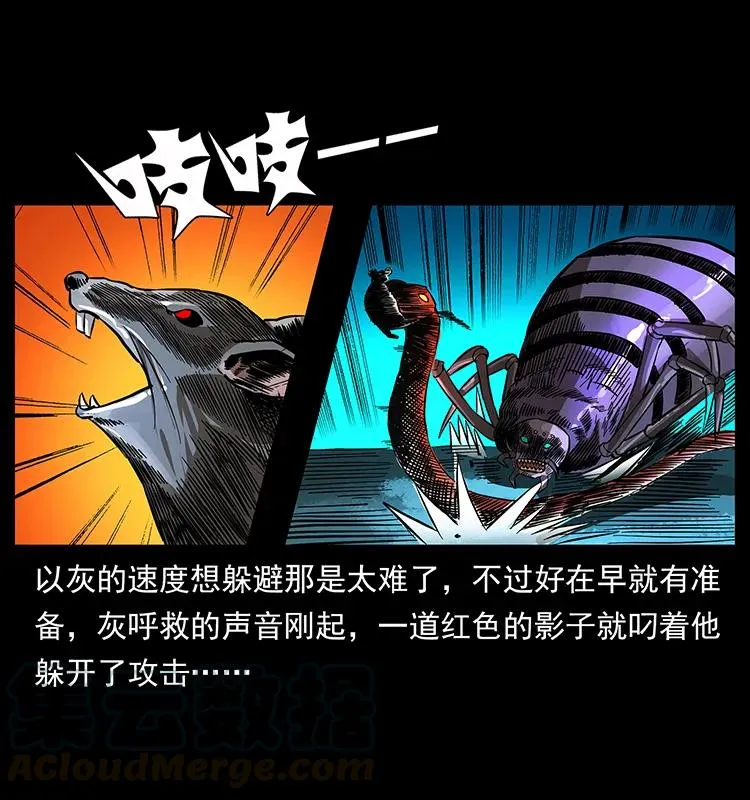 163 陈老狗下南疆 第13页