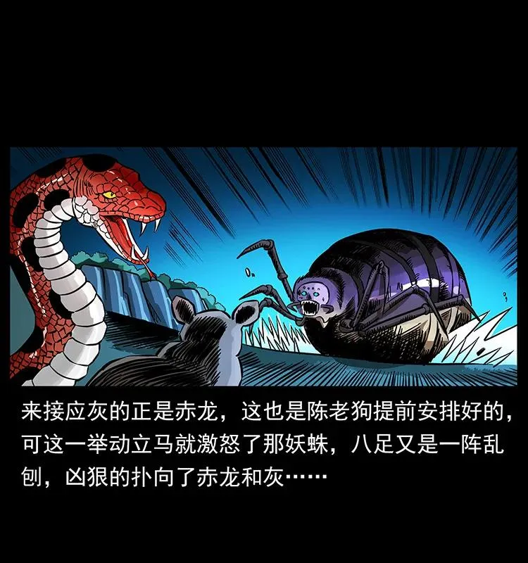 163 陈老狗下南疆 第14页
