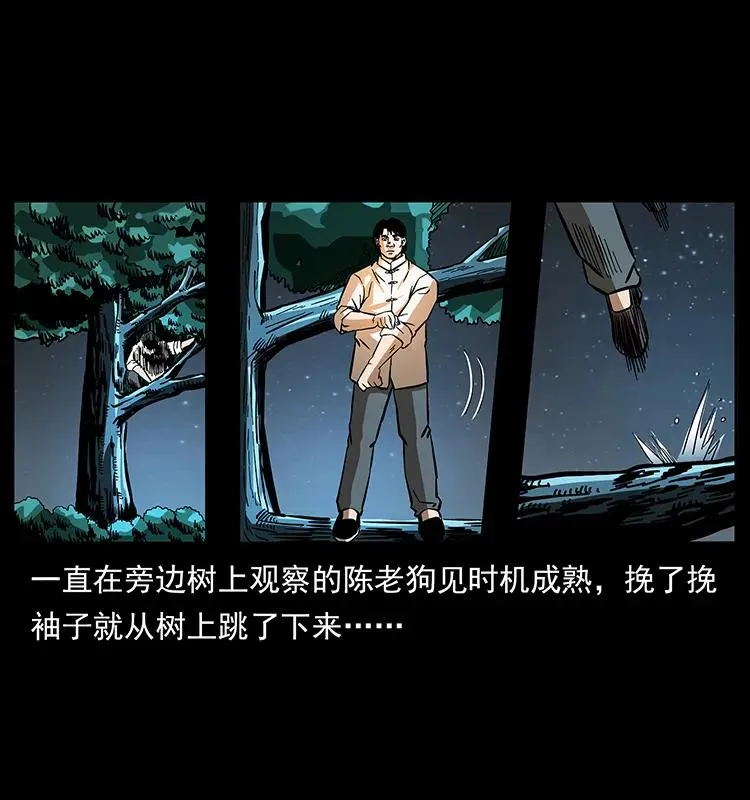 163 陈老狗下南疆 第15页