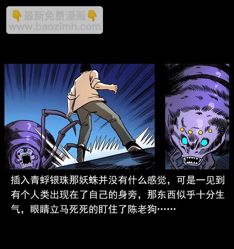 163 陈老狗下南疆 第18页