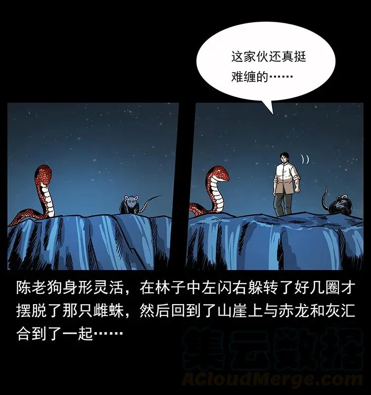 163 陈老狗下南疆 第21页
