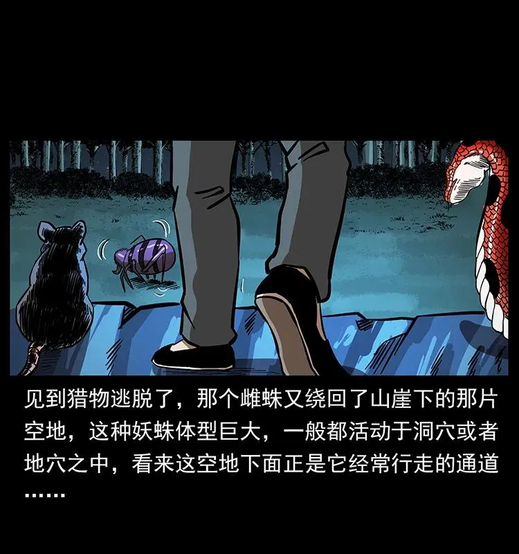 163 陈老狗下南疆 第22页