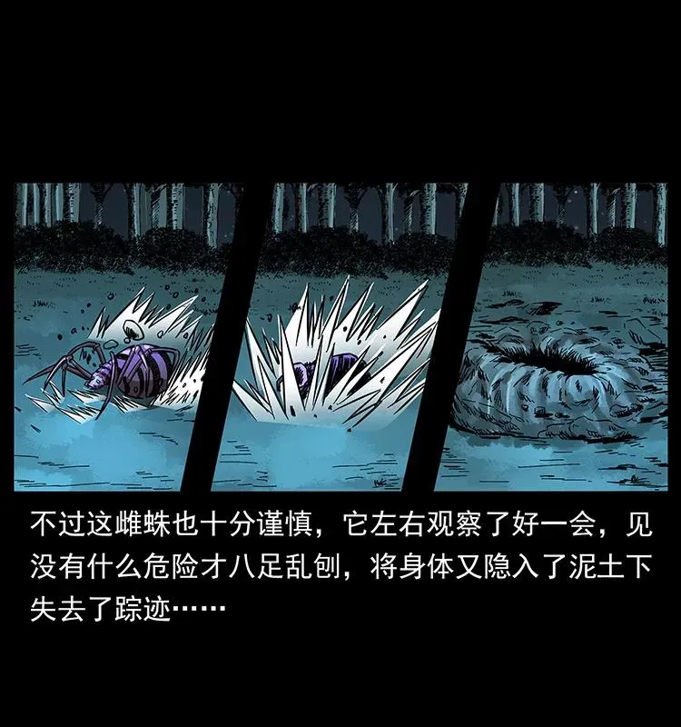163 陈老狗下南疆 第23页