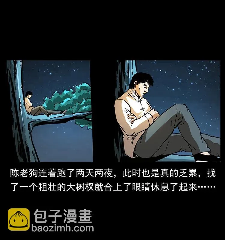 163 陈老狗下南疆 第26页