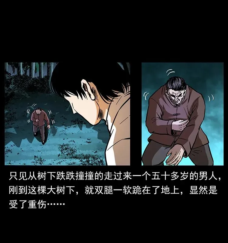 163 陈老狗下南疆 第28页