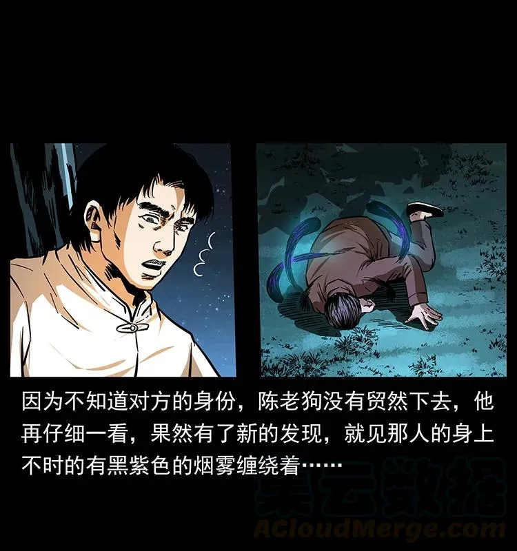 163 陈老狗下南疆 第29页