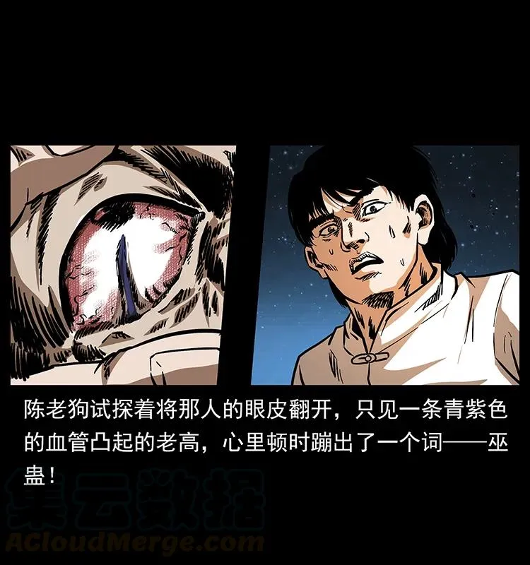 163 陈老狗下南疆 第33页