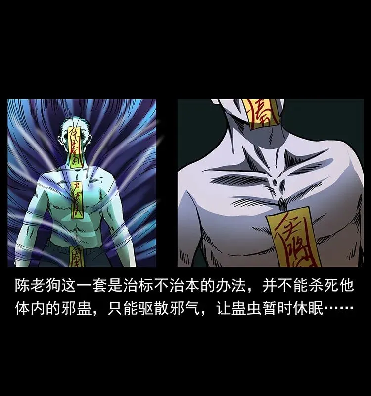163 陈老狗下南疆 第36页