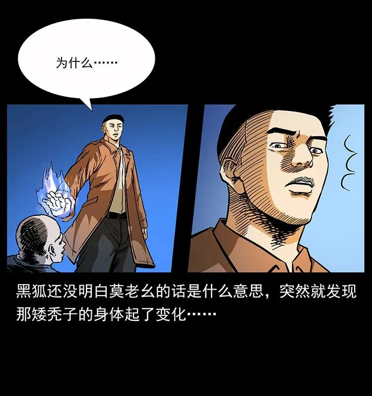 162 祖龙顶 第11页