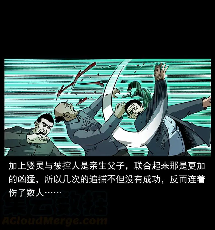 165 战争升级 第41页