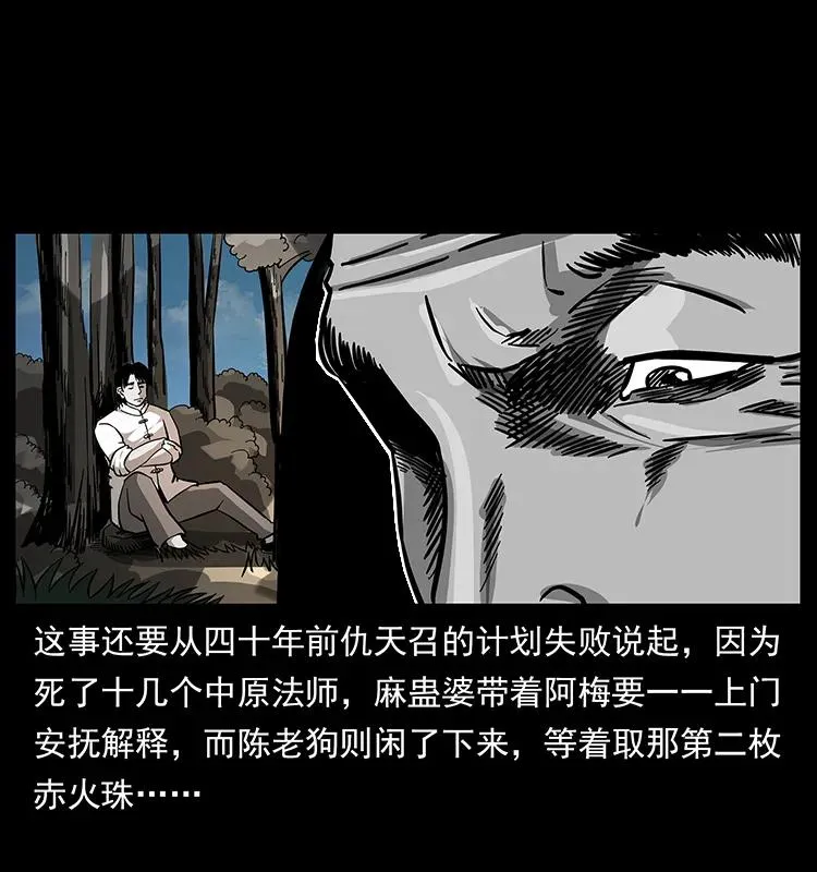 167 陈老狗遇险 第19页