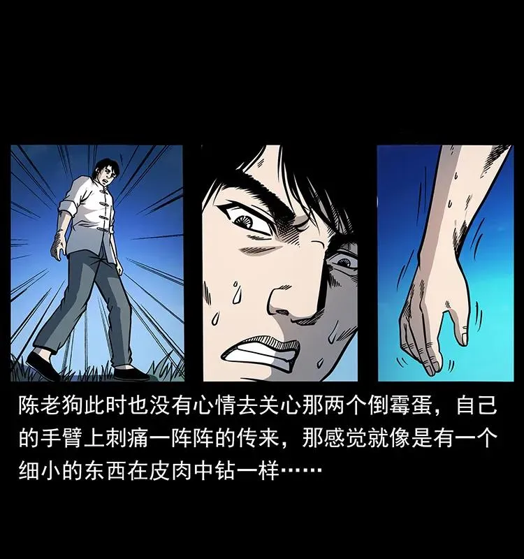 167 陈老狗遇险 第34页