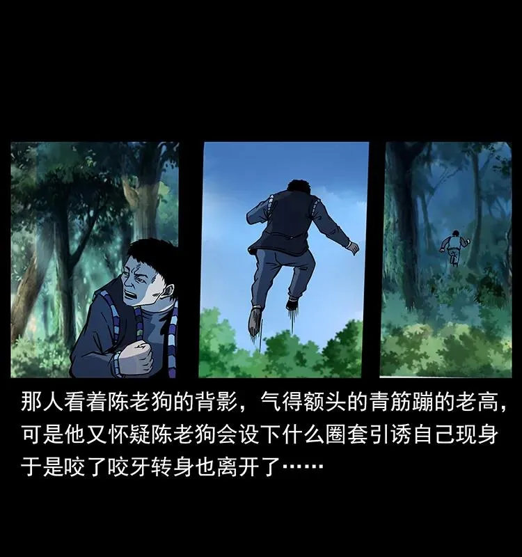 167 陈老狗遇险 第40页