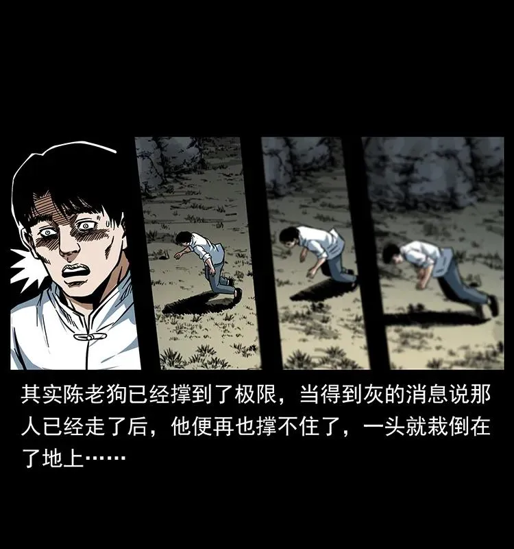 167 陈老狗遇险 第42页