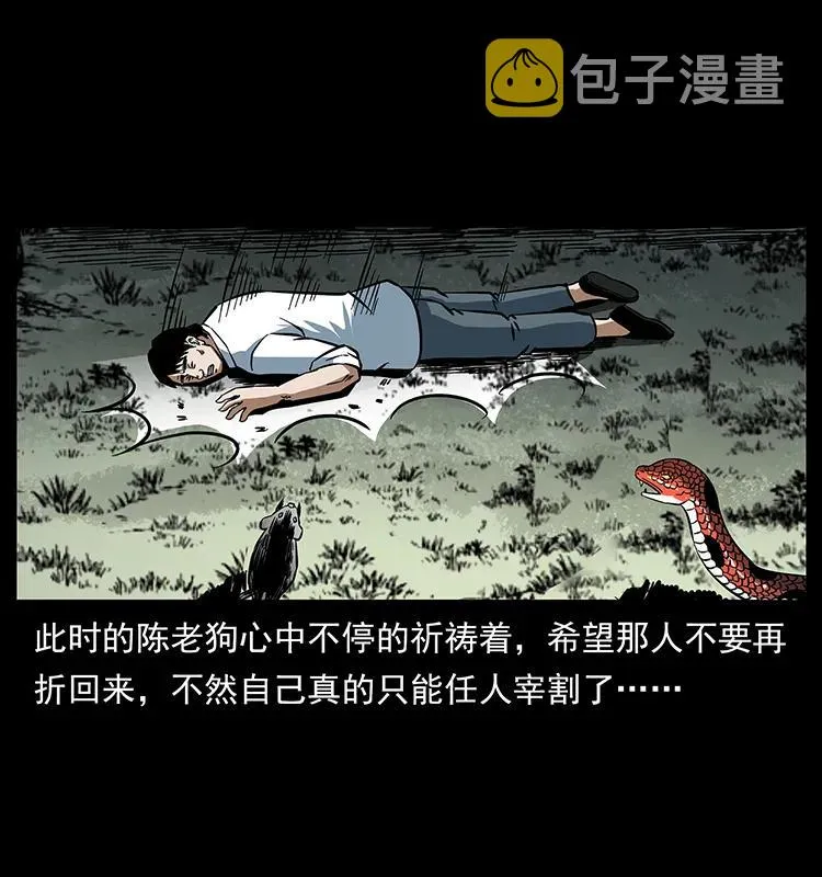 167 陈老狗遇险 第43页