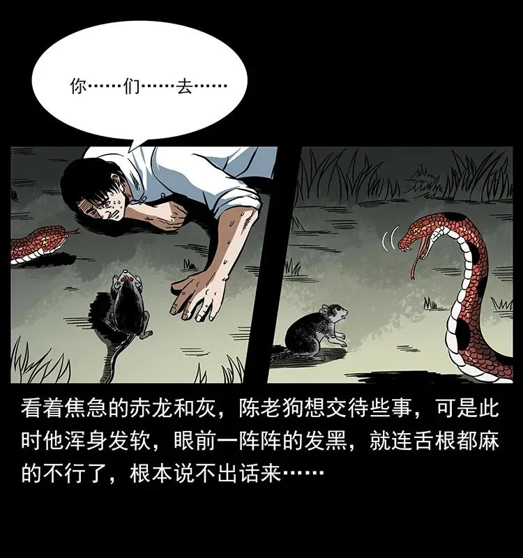 167 陈老狗遇险 第44页