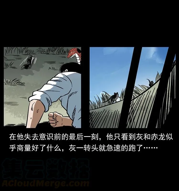 167 陈老狗遇险 第45页