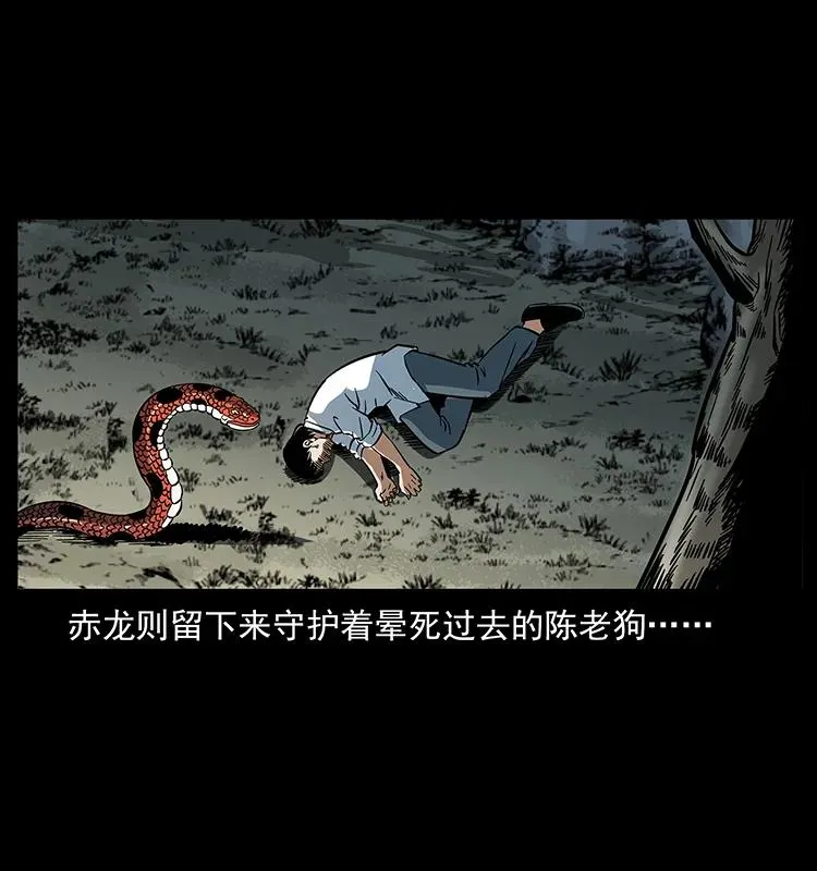 167 陈老狗遇险 第46页