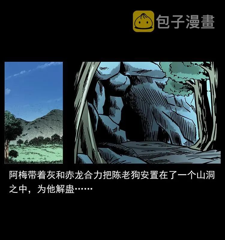 167 陈老狗遇险 第51页