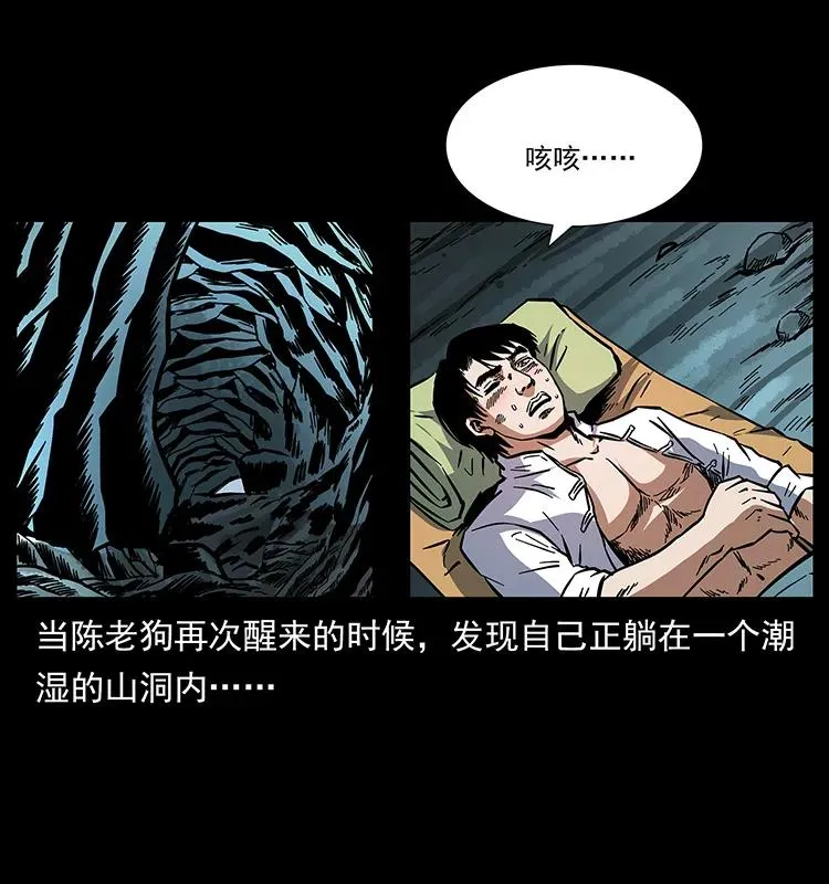 167 陈老狗遇险 第52页