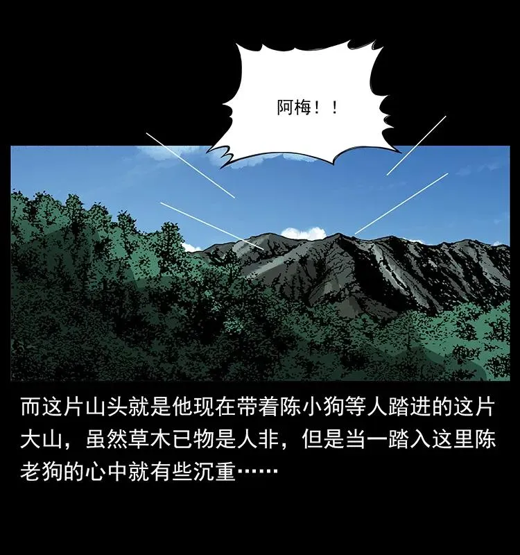 167 陈老狗遇险 第83页