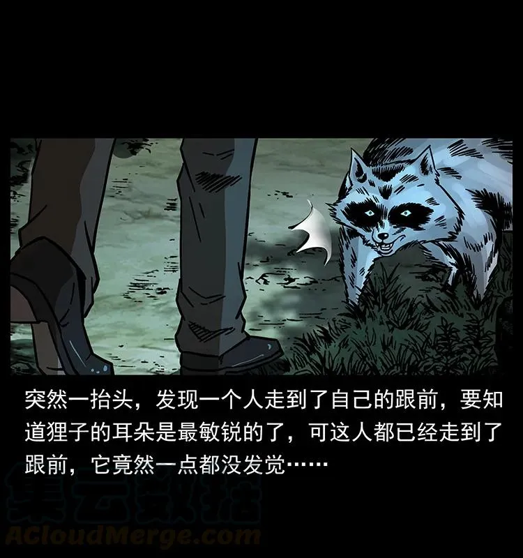168 独龙乡 第33页
