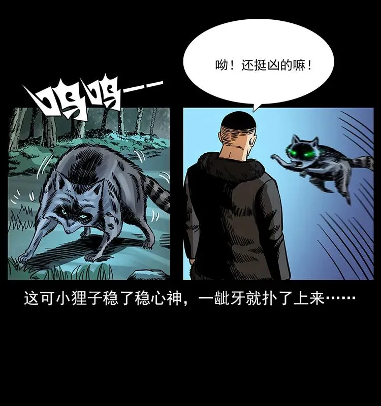 168 独龙乡 第35页