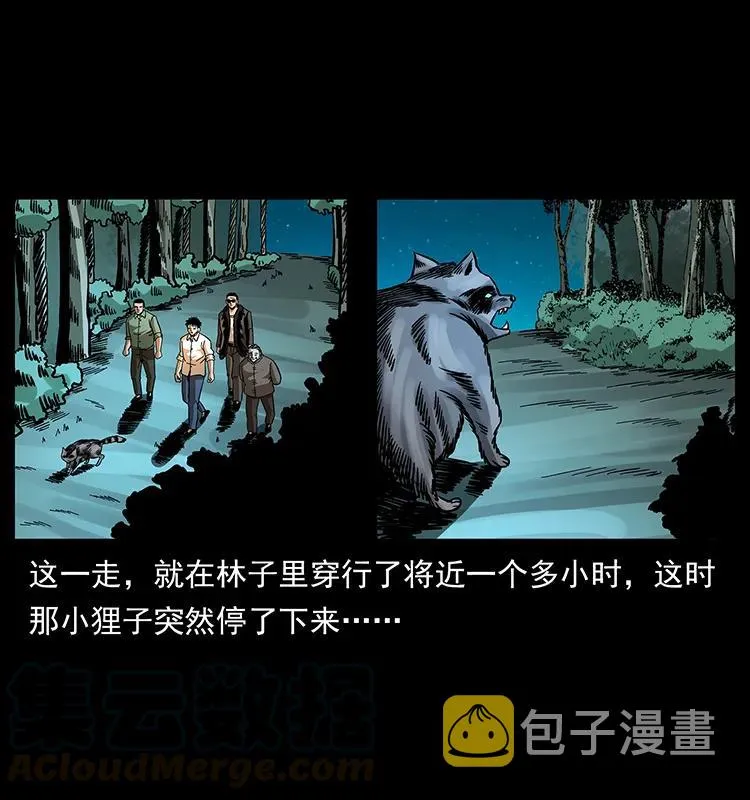 168 独龙乡 第41页