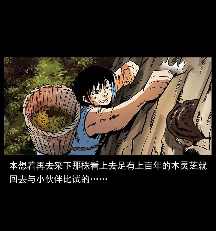 169 龙洞 第16页
