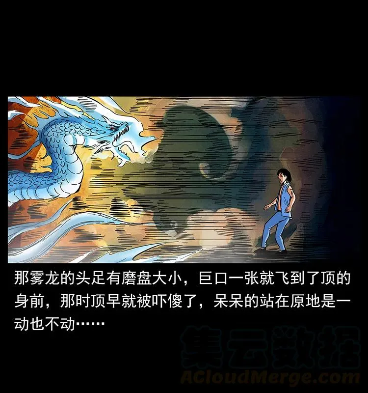 169 龙洞 第41页