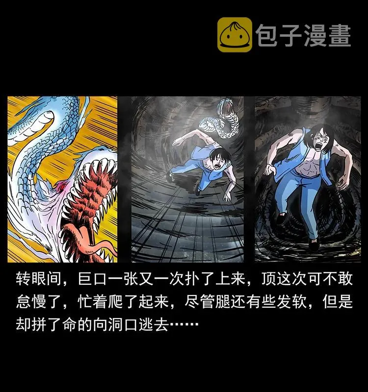 169 龙洞 第47页