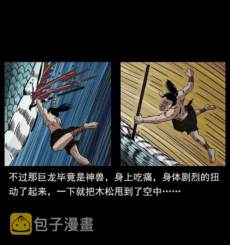 171 独龙河谷 第38页