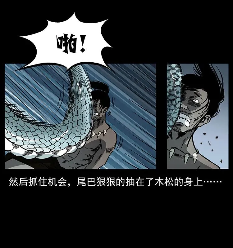 171 独龙河谷 第39页