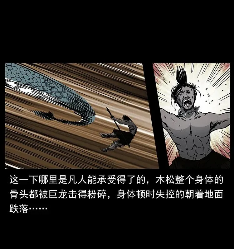 171 独龙河谷 第40页
