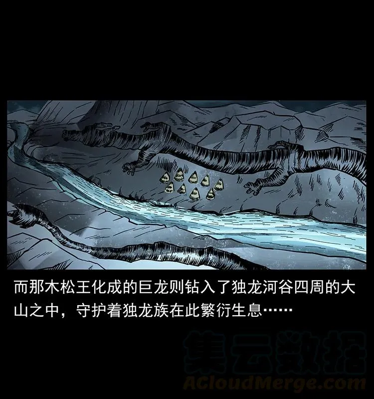 171 独龙河谷 第61页