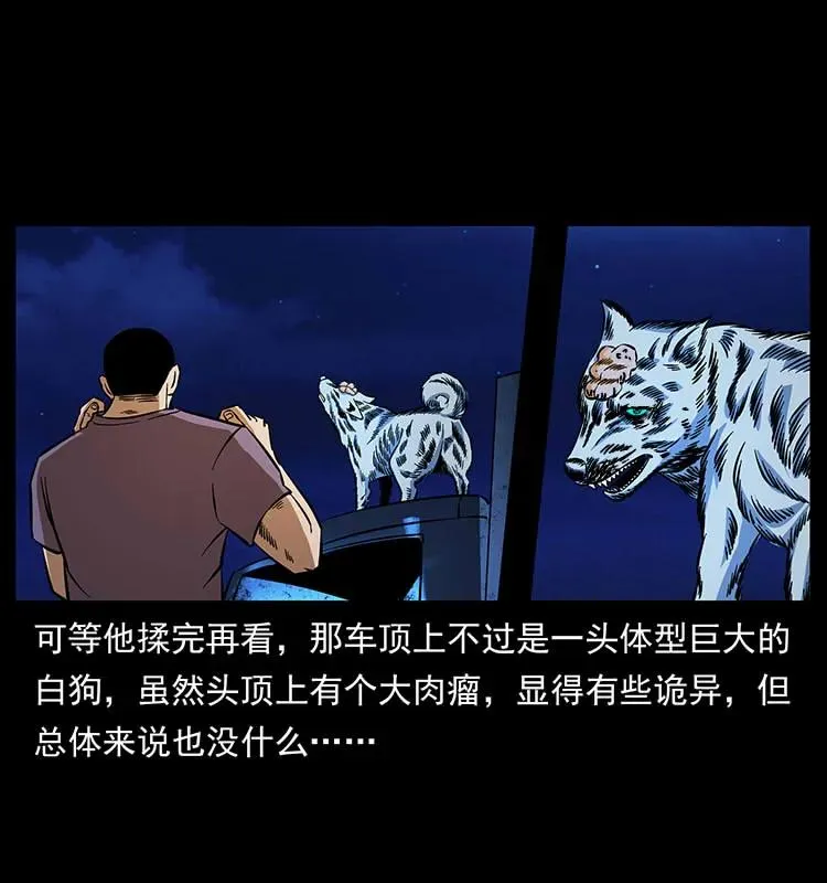 170 布局 第12页