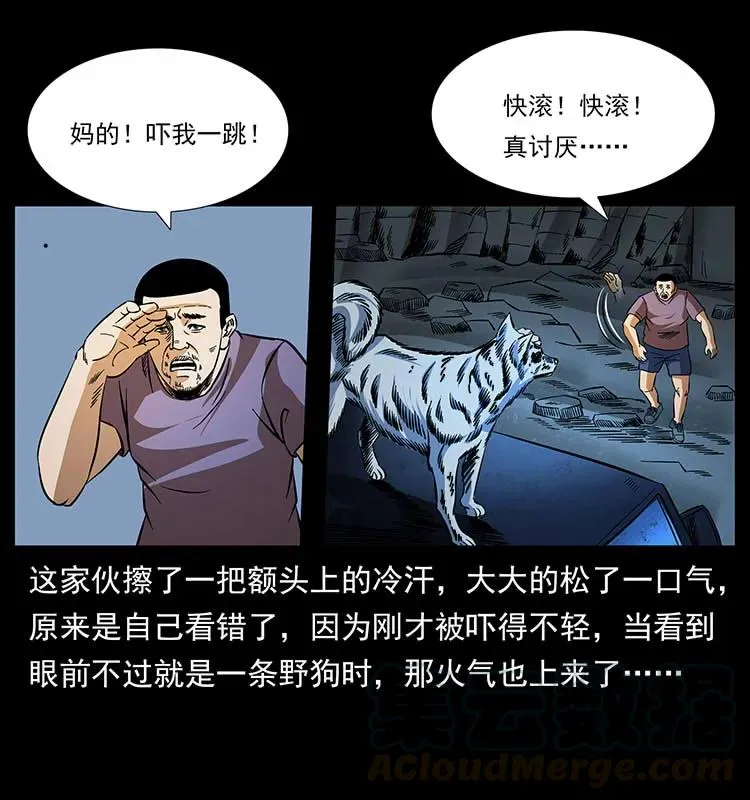 170 布局 第13页